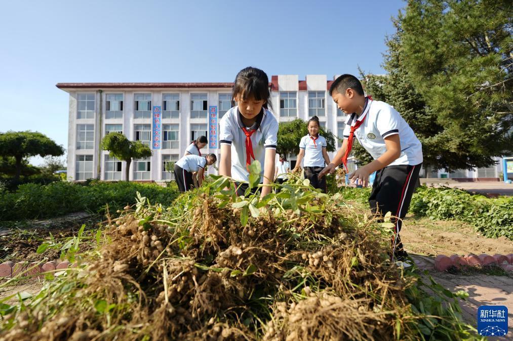 58现金可以做什么